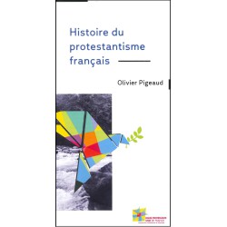 Histoire du protestantisme français (en français, par 50 ex)