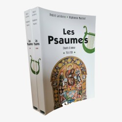 Couverture : David jouant du psaltérion (Psautier de Canterbury, v. 720 – British Library)